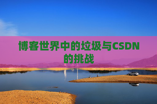博客世界中的垃圾与CSDN的挑战